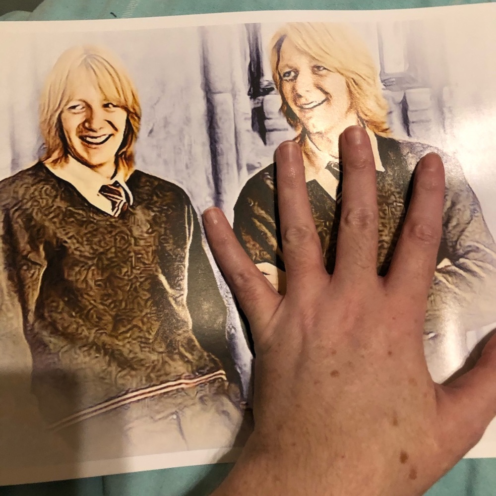 WEASLEY TWINS(Harry Potter)Soft PREMIUM Art Print